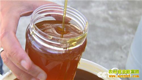 [�¸���]�Ĵ��ന�������������������1700��Ԫ