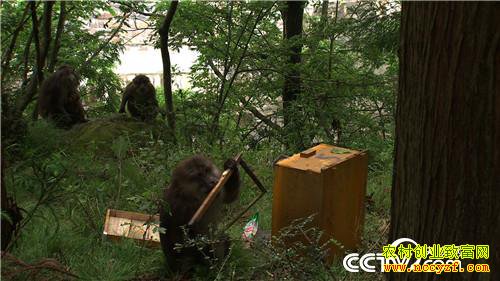 Ů�������������ﱳ��ĲƸ�