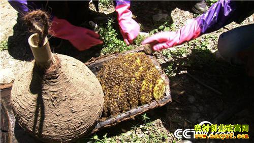 Ů�������������ﱳ��ĲƸ�