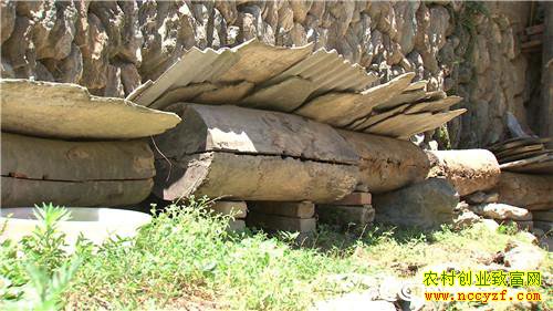 Ů�������������ﱳ��ĲƸ�