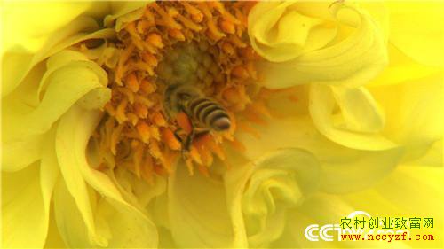 Ů�������������ﱳ��ĲƸ�