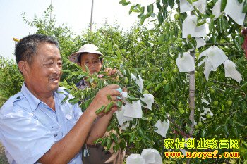 ɽ�����ݽ���͢�����״���ÿ��������50Ԫ