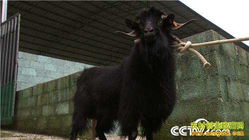 [�¸���]������������ϲ��ֳ����ɽ������270��Ԫ