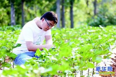 ��������ʼ��������������ũ����