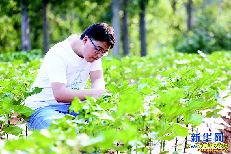 ��������ʼ��������