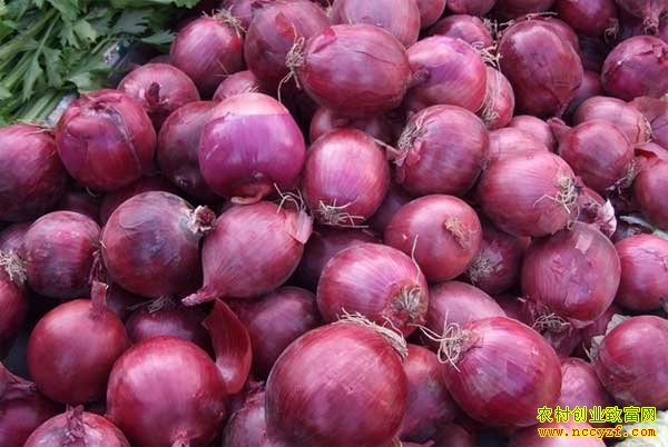 2016����м۸�����Ԥ�⣺��м۸�ֹ������