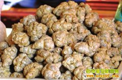 ���߶���Ǯһ�2017��3��25���������߼۸�����