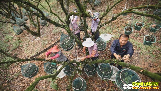 [��ɫʱ��]��������������ֳ����ҵ�¸���Ƶ