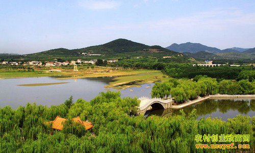 �ӱ����գ��������������������ũ�¸�