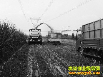 ɽ�����ࣺ�����׽ո����������1Ķһ������ǧԪ