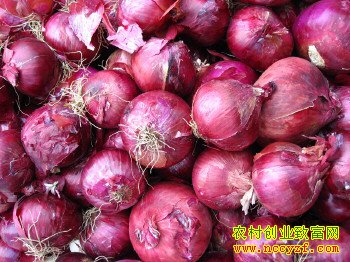 2016����м۸�Ϊɶ�����»�