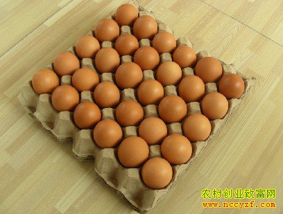 �������������ӹ����ۼ�������׬ʮ����