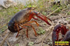 �½�����������ֳС��Ϻ��óɹ�