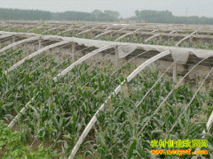 ɽ��۰��������һĶ��������3Ķ��Ǯ