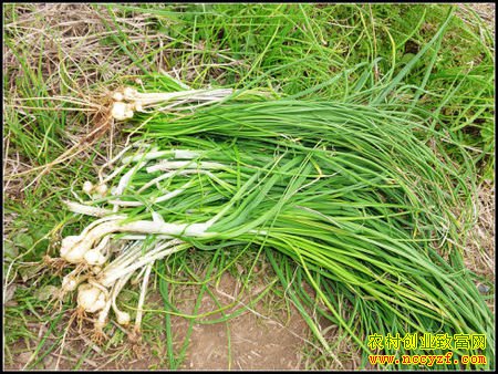 ����潭�������ֲһĶˊͷ����4000Ԫ