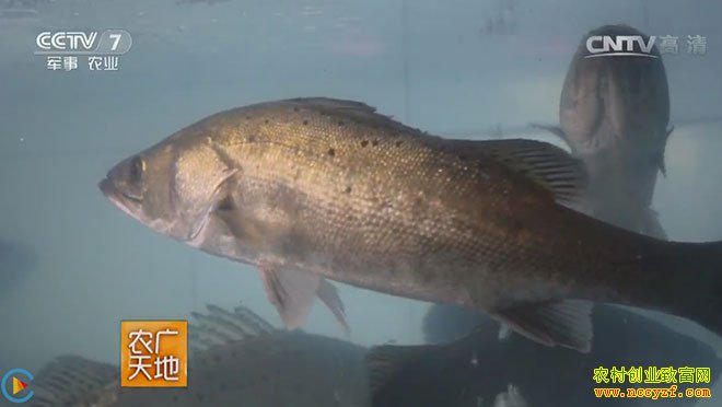 [ũ�����]��ˮ���������� 20160814