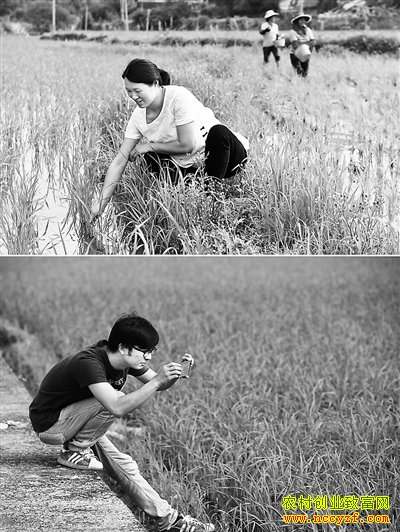 �����Ϻ�����Ӣ�������ķ��޷�����ˮ���괿����10����