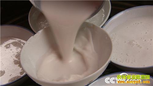 [�¸���]ɽ�����ּ��񶫰�һԪС������ǧ��Ƹ�