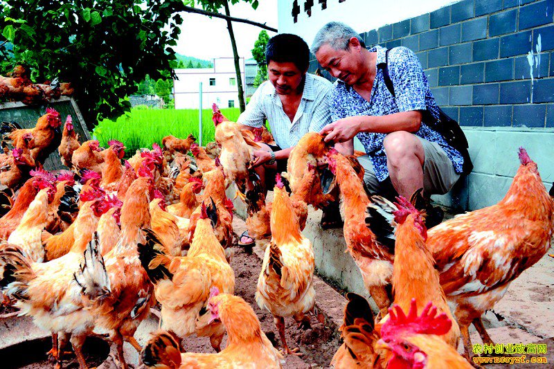 ���Ƽ���ֳ����Ҫ��