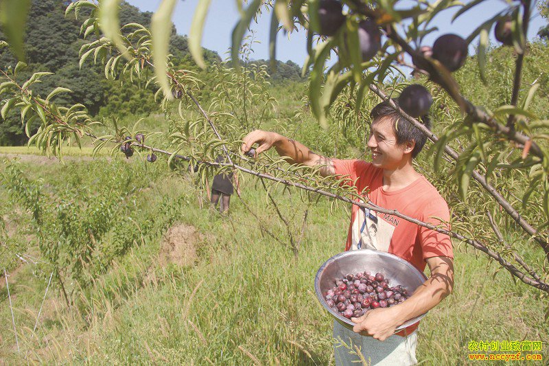 �Ĵ�������Сƽ������ֲ�����������36��Ԫ