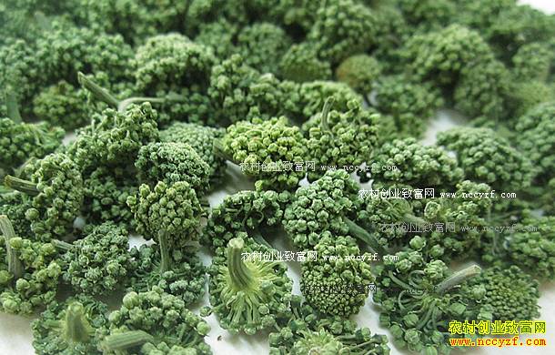 ���߻��۸�