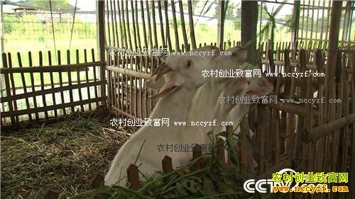 [�¸���]�㽭��Ҧ�½���̲Ϳ�Գ�ǧ��Ƹ�