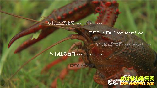 [�¸���]�㽭��Ҧ�½���̲Ϳ�Գ�ǧ��Ƹ�