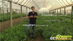 [�¸���]�㽭��Ҧ�½���̲Ϳ�Գ�ǧ��Ƹ�