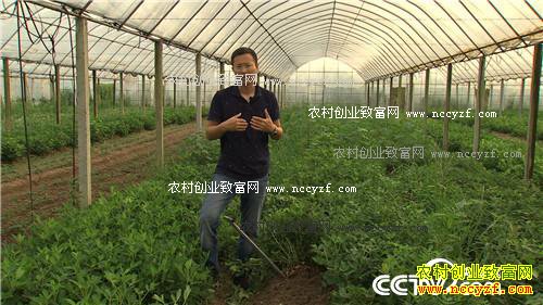 [�¸���]�㽭��Ҧ�½���̲Ϳ�Գ�ǧ��Ƹ�