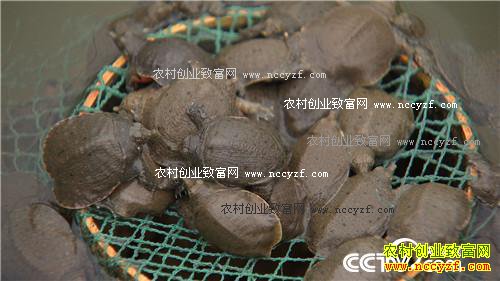 [�¸���]�㽭��Ҧ�½���̲Ϳ�Գ�ǧ��Ƹ�