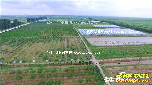 [�¸���]�㽭��Ҧ�½���̲Ϳ�Գ�ǧ��Ƹ�