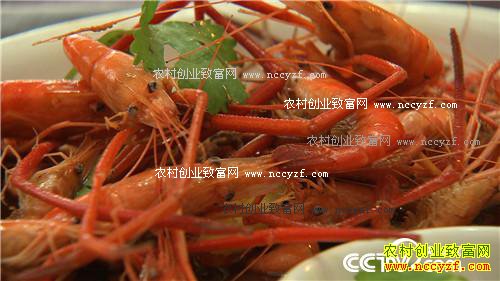 [�¸���]�㽭��Ҧ�½���̲Ϳ�Գ�ǧ��Ƹ�