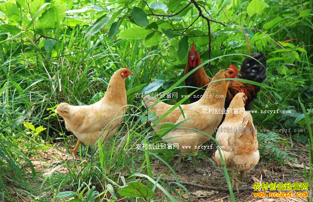 ɽ���������ȫ6Ķ��԰������1������ʮ��Ԫ