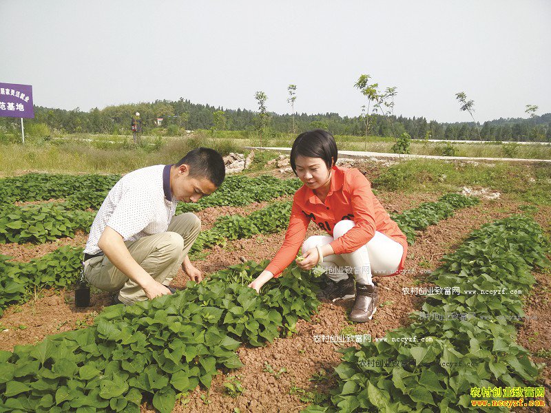 �Ĵ����������û������ֺ������������¸�