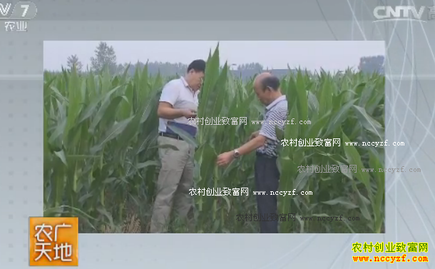 [ũ�����]�����׷��ռ�