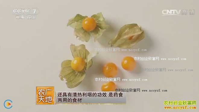 [ũ�����]ë�Ὤ������