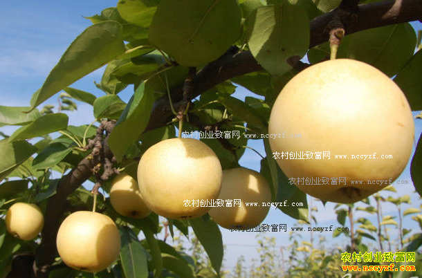 ɽ������������ֲ�����������¸�·