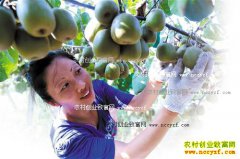 ���������غ���⨺��Ҳ�ժ ���ۼ�20Ԫһ��