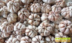 2016�����۸����ƣ�8�º�������������