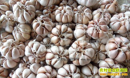 2016�����۸����ƣ�8�º�������������