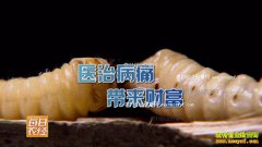 [ÿ��ũ��]һ�����ܻ�һ���� ��ֳ���׳���¸�