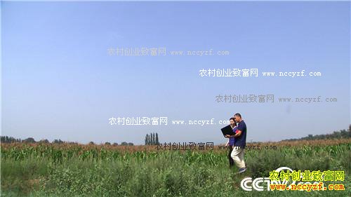 ͬ�������� ��զ������ô��