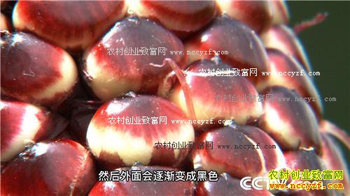 ͬ�������� ��զ������ô��