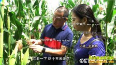 [�¸���]ɽ���������ֲ���ۺ�Ŵ�������û�