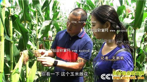 [�¸���]ͬ�������� ɽ�������զ������ô��