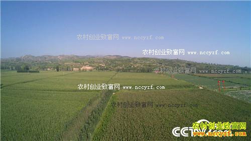 ͬ�������� ��զ������ô��