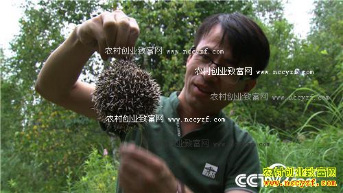 [�¸���]ɽ��С����±���׷Ѱǧ��֮��Ķ����ڷ�Ƹ�