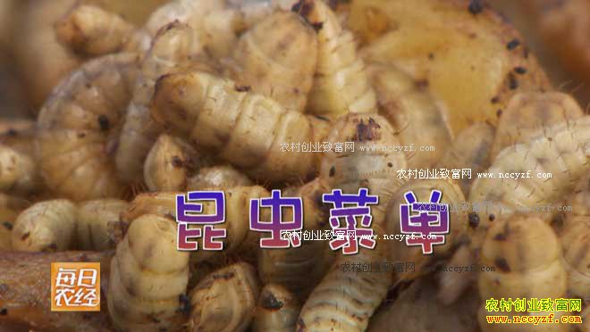 [ÿ��ũ��]ˮ�Ҳ����ζ ��С����ֳˮ��׬Ǯ