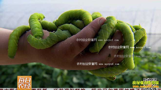 [ÿ��ũ��]����˵�������� ��ҳ��� 20160826