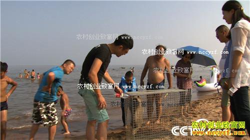 �Ƕ���С�ɰ��� ����ǧ���